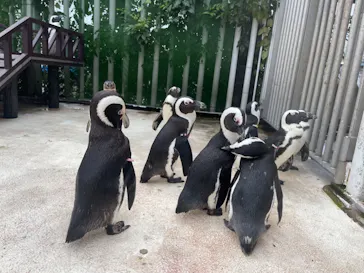 横浜・八景島シーパラダイスに投稿された画像（2021/9/19）
