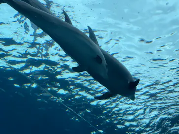 横浜・八景島シーパラダイスに投稿された画像（2021/9/19）