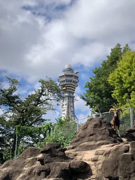 天王寺動物園に投稿された画像（2021/9/19）