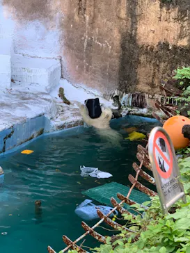 天王寺動物園に投稿された画像（2021/9/19）