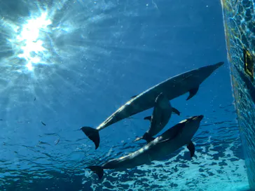 横浜・八景島シーパラダイスに投稿された画像（2021/9/19）