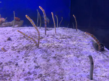 横浜・八景島シーパラダイスに投稿された画像（2021/9/19）