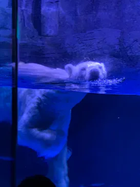 横浜・八景島シーパラダイスに投稿された画像（2021/9/19）