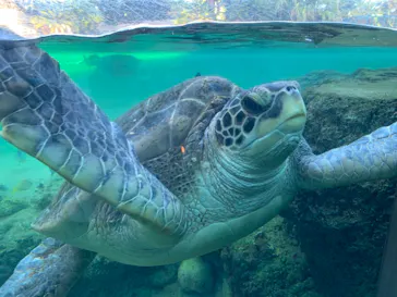 横浜・八景島シーパラダイスに投稿された画像（2021/9/19）
