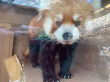 横浜・八景島シーパラダイスに投稿された画像（2021/9/19）