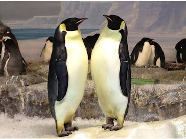 名古屋港水族館に投稿された画像（2021/9/19）