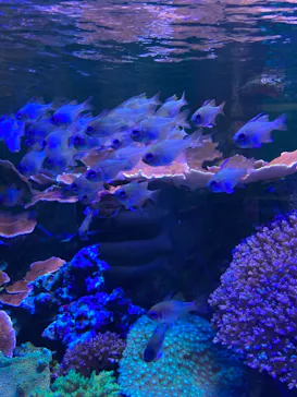 名古屋港水族館に投稿された画像（2021/9/19）