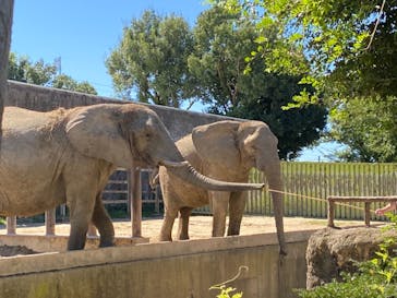 東武動物公園に投稿された画像（2021/9/19）