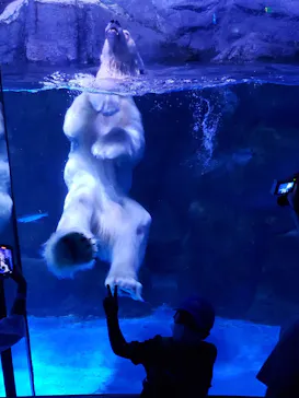 横浜・八景島シーパラダイスに投稿された画像（2021/9/19）