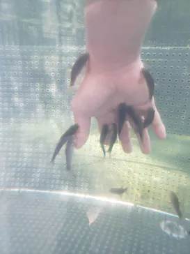 横浜・八景島シーパラダイスに投稿された画像（2021/9/19）