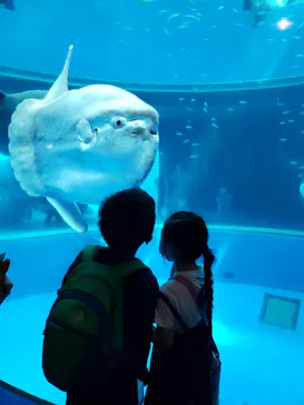 横浜・八景島シーパラダイスに投稿された画像（2021/9/19）
