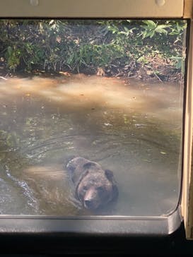 サホロリゾート　ベア･マウンテンに投稿された画像（2021/9/19）