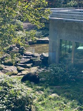 サホロリゾート　ベア･マウンテンに投稿された画像（2021/9/19）