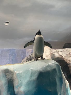 名古屋港水族館に投稿された画像（2021/9/19）