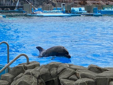 名古屋港水族館に投稿された画像（2021/9/19）