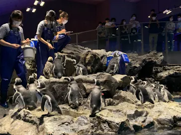 すみだ水族館に投稿された画像（2021/9/20）