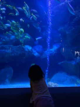 すみだ水族館に投稿された画像（2021/9/20）