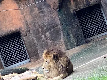 天王寺動物園に投稿された画像（2021/9/20）