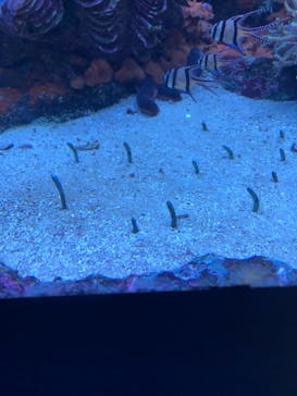 サンシャイン水族館に投稿された画像（2021/9/20）