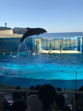 新江ノ島水族館に投稿された画像（2021/9/20）