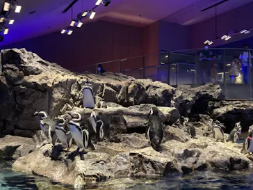 すみだ水族館に投稿された画像（2021/9/20）