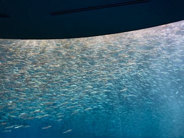 名古屋港水族館に投稿された画像（2021/9/20）