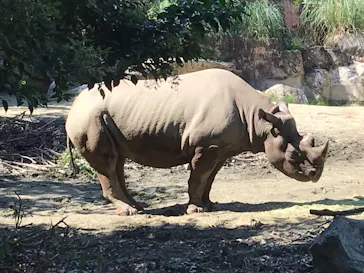 天王寺動物園に投稿された画像（2021/9/20）