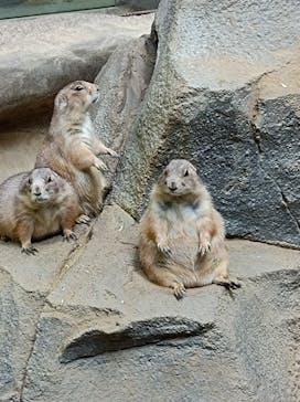 神戸どうぶつ王国に投稿された画像（2021/9/20）