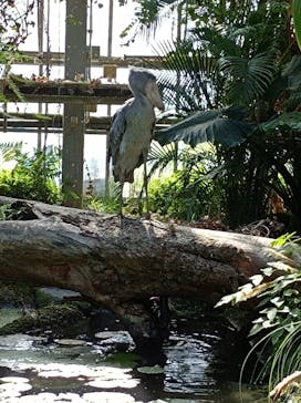 神戸どうぶつ王国に投稿された画像（2021/9/20）