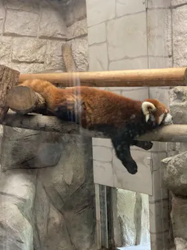 天王寺動物園に投稿された画像（2021/9/20）