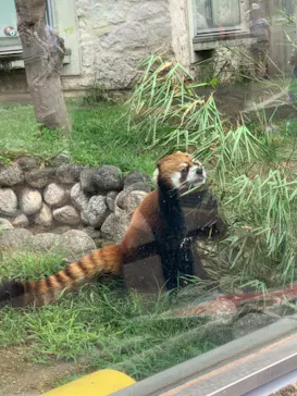 天王寺動物園に投稿された画像（2021/9/20）