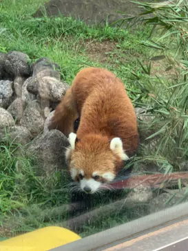 天王寺動物園に投稿された画像（2021/9/20）