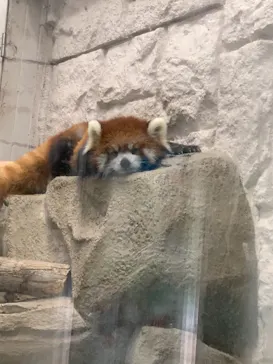 天王寺動物園に投稿された画像（2021/9/20）