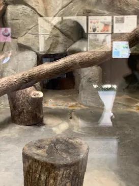 天王寺動物園に投稿された画像（2021/9/20）