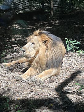 よこはま動物園ズーラシアに投稿された画像（2021/9/20）