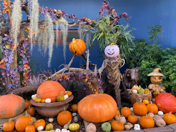 ひらかたパークに投稿された画像（2021/9/20）