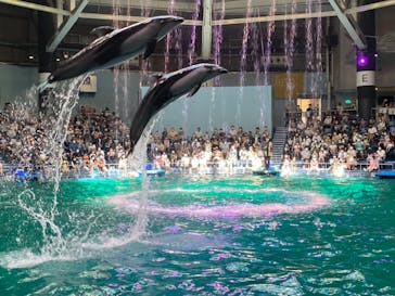 マクセル アクアパーク品川に投稿された画像（2021/9/20）