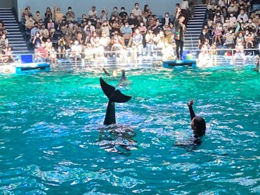 マクセル アクアパーク品川に投稿された画像（2021/9/20）