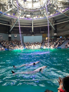 マクセル アクアパーク品川に投稿された画像（2021/9/20）