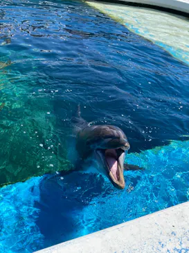 横浜・八景島シーパラダイスに投稿された画像（2021/9/20）