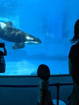 名古屋港水族館に投稿された画像（2021/9/20）