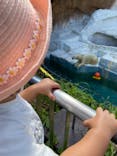 天王寺動物園に投稿された画像（2021/9/20）