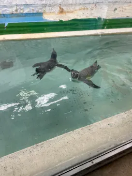 天王寺動物園に投稿された画像（2021/9/20）