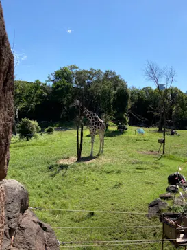 天王寺動物園に投稿された画像（2021/9/20）