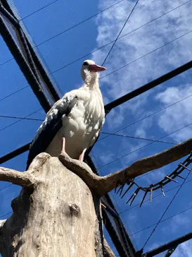 天王寺動物園に投稿された画像（2021/9/20）