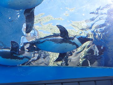 サンシャイン水族館に投稿された画像（2021/9/20）