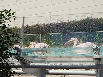 サンシャイン水族館に投稿された画像（2021/9/20）