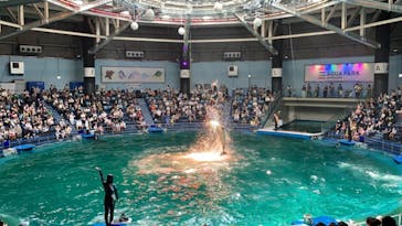 マクセル アクアパーク品川に投稿された画像（2021/9/20）