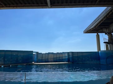 新江ノ島水族館に投稿された画像（2021/9/20）