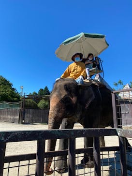 那須サファリパークに投稿された画像（2021/9/20）